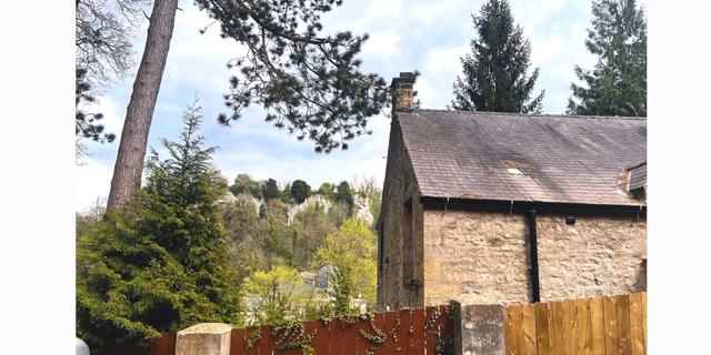 Willows Gullivers outside from the side NEW