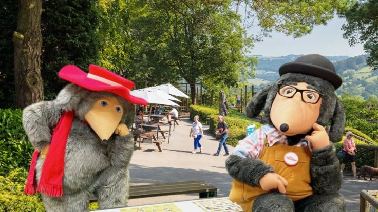 Wombles at Heights of Abraham