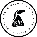 DAY VISITS New Logo copy